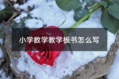 С�W���W�̌W�����ô��