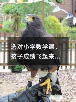 �x��С�W���W�n�����ӳɿ��w���������L�ؿ���8�����E