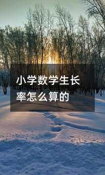 С�W���W���L����ô���