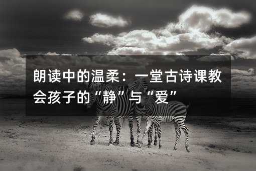 ���x�еĜ��᣺һ�ù�Ԋ(sh��)�n�̕�(hu��)���ӵġ��o���c����(��i)��