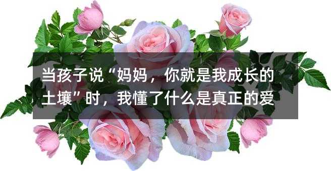 �������f��������������ҳ��L���������r���Ҷ���ʲô�������Đ�