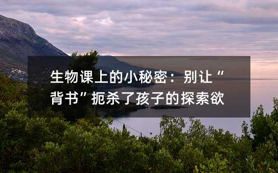 �����n�ϵ�С���ܣ��e׌�����������˺��ӵ�̽����