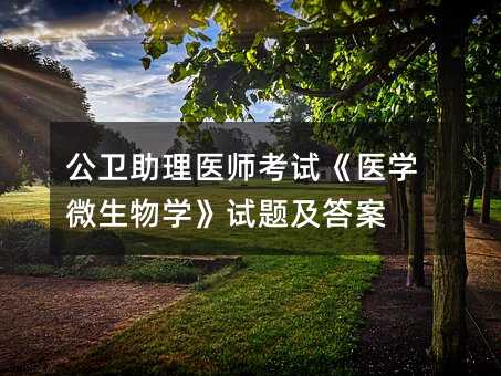 ���l�����t����ԇ���t�W΢����W��ԇ�}����