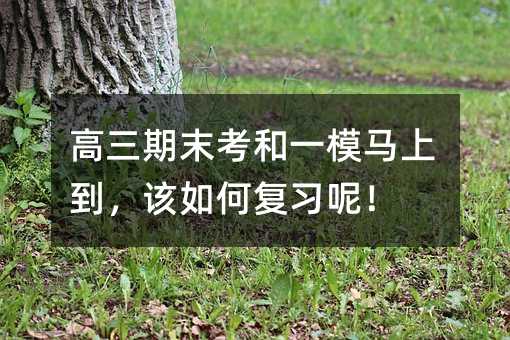 ������ĩ����һģ�R�ϵ���ԓ��Ώ�������