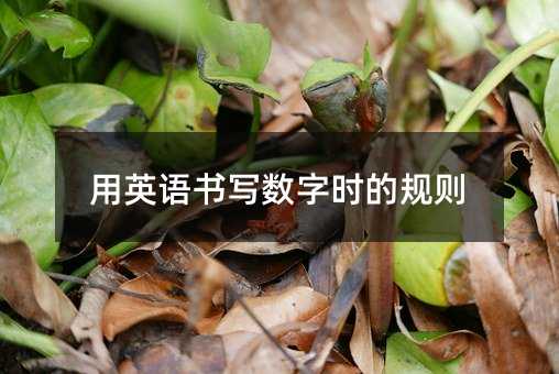 ��Ӣ�Z�������֕r��Ҏ�t