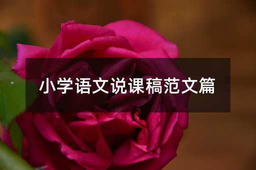 С�W�Z���f�n�巶��ƪ