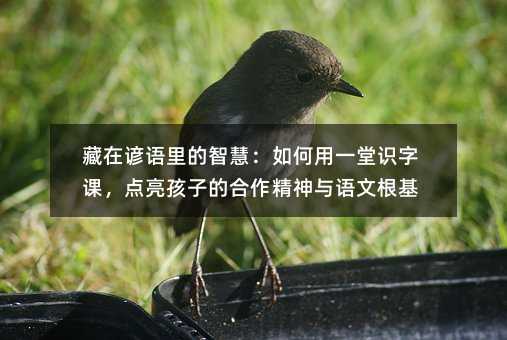 �����V�Z����ǻۣ������һ���R���n���c(di��n)�����ӵĺ��������c�Z�ĸ���