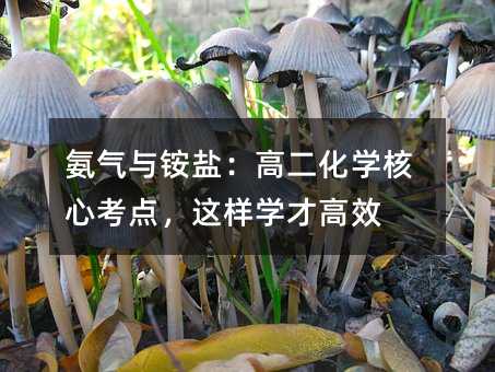 �����c�@�}���߶����W(xu��)���Ŀ��c���@�ӌW(xu��)�Ÿ�Ч