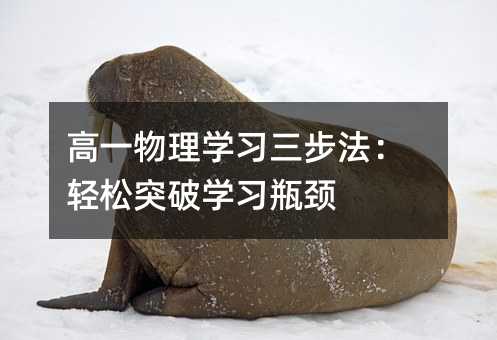 ��һ����W�����������p��ͻ�ƌW��ƿ�i