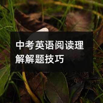 �п�Ӣ�Z��x������}����