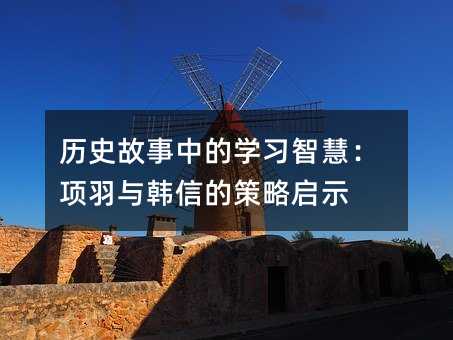 �vʷ�����еČW(xu��)��(x��)�ǻۣ�����c�n�ŵĲ��Ԇ�ʾ