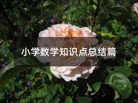 С�W���W֪�R�c���Yƪ