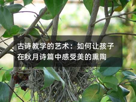 ��Ԋ�̌W��ˇ�g�����׌����������Ԋƪ�и�������Ѭ��