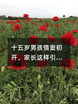 ʮ��q�к���]���_�����L�@����������ů��Ч