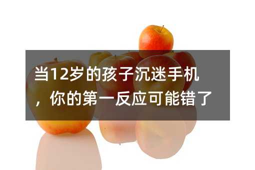 ��12�q�ĺ��ӳ����֙C����ĵ�һ���������e��