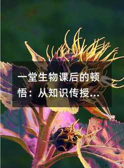 һ�������n����D�򣺏�֪�R���ڵ����B���B��͑׃