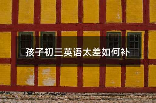 ���ӳ���Ӣ�Z̫������a