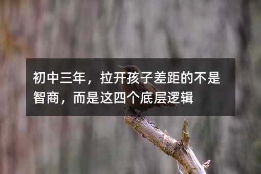 �������꣬���_���Ӳ��Ĳ������̣������@�Ă��׌�߉݋