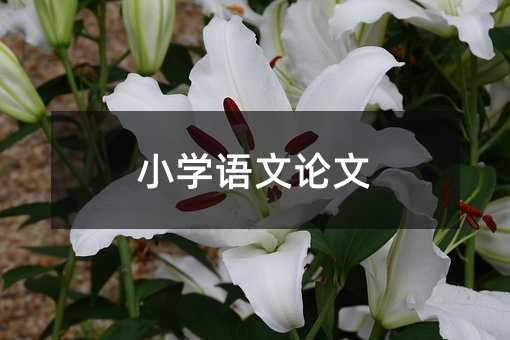 С�W�Z��Փ��