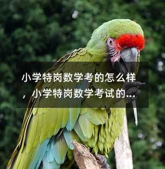 С�W�؍����W������ô�ӣ�С�W�؍����W��ԇ�ı��F��Σ�