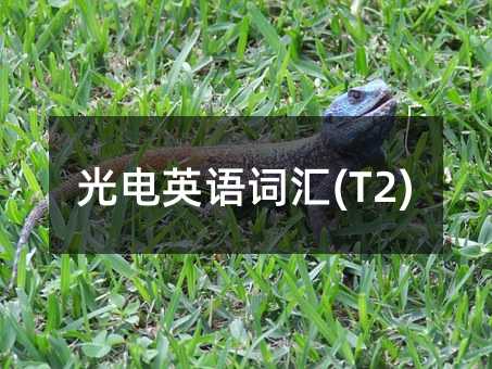 ���Ӣ�Z�~�R(T2)