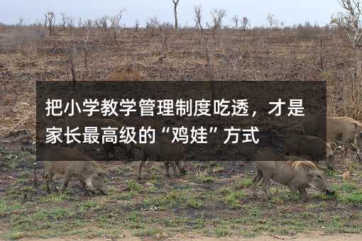 ��С�W�̌W�����ƶȳ�͸�����Ǽ��L��߼��ġ��u�ޡ���ʽ