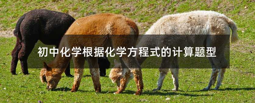 ���л��W(xu��)����(j��)���W(xu��)����ʽ��Ӌ(j��)���}��