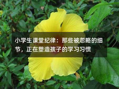 С�W(xu��)���n�üo(j��)�ɣ���Щ�����Եļ�(x��)��(ji��)���������캢�ӵČW(xu��)��(x��)��(x��)�T