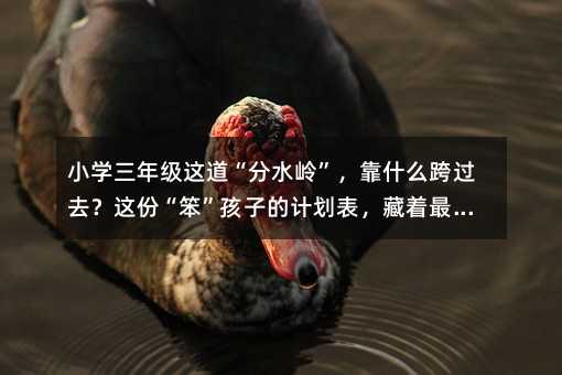 С�W(xu��)���꼉�@������ˮ�X������ʲô���^ȥ���@�ݡ��������ӵ�Ӌ(j��)������������߼����ǻ�