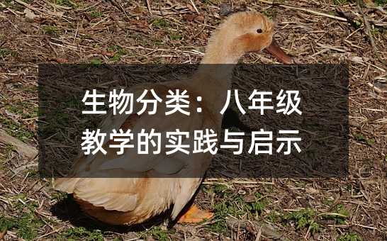 ���������꼉�̌W�Č��`�c��ʾ