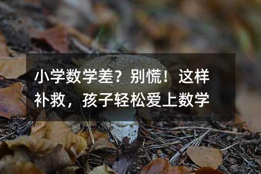 С�W���W��e�ţ��@���a�ȣ������p�ɐ��ϔ��W