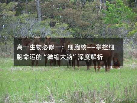 ��һ�������һ�������ˡ����ƿؼ������\�ġ�΢�s���X����Ƚ���