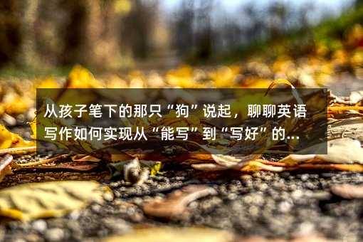 �ĺ��ӹP�µ���ֻ�������f������Ӣ�Z������Ό��F�ġ��܌����������á��Ŀ�Խ