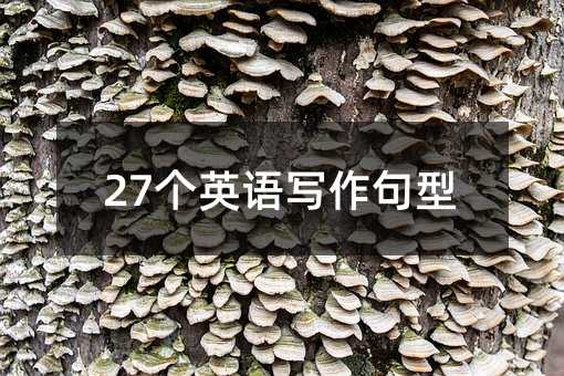 27��(g��)Ӣ�Z(y��)��(xi��)������