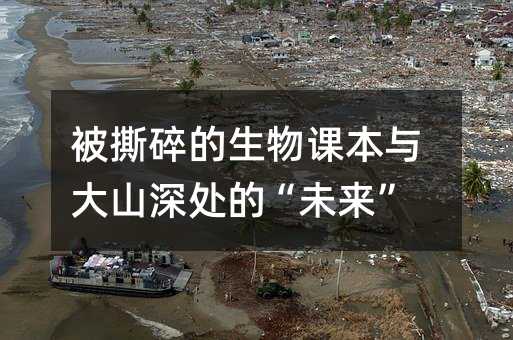 ��˺��������n���c��ɽ��̎�ġ�δ����