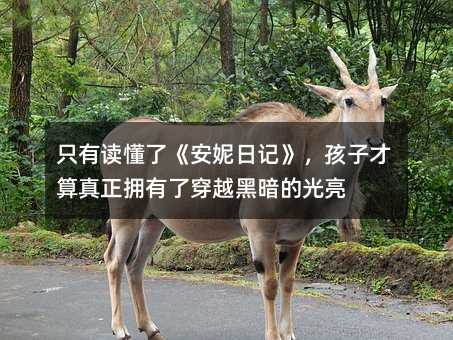 ֻ���x���ˡ�������ӛ�������Ӳ������������˴�Խ�ڰ��Ĺ���