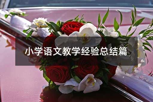 С�W�Z�Ľ̌W��򞿂�Yƪ