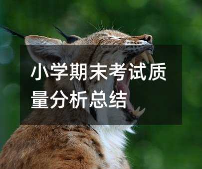 С�W��ĩ��ԇ�|���������Y