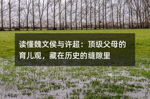 �x��κ�ĺ��c�S����피���ĸ�������^�����ښvʷ�Ŀp϶��