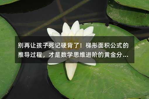 �e��׌������ӛӲ���ˣ�������e��ʽ���ƌ��^�������ǔ��W˼�S�M�A���S���ˮ�X