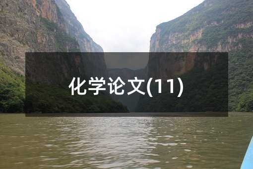 ���WՓ��(11)