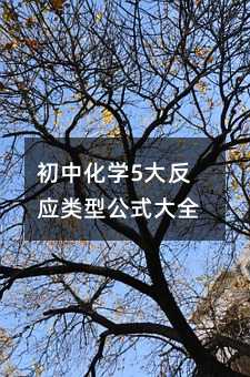 ���л��W(xu��)5�󷴑�(y��ng)��͹�ʽ��ȫ