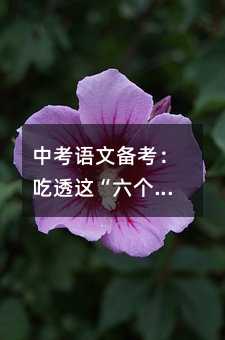 �п��Z�Ă俼����͸�@���������������A�c��x�p���ÝM��