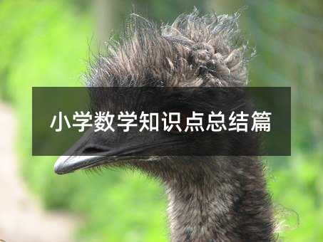 С�W���W֪�R�c���Yƪ