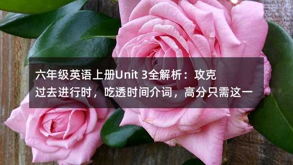 ���꼉Ӣ�Z�σ�Unit 3ȫ�����������^ȥ�M�Еr����͸�r�g���~���߷�ֻ���@һƪ