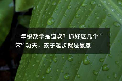 һ�꼉���W�ǵ�����ץ���@�ׂ������������������𲽾����A��