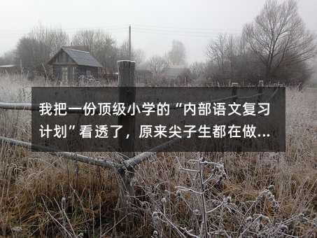 �Ұ�һ��피�(j��)С�W(xu��)�ġ���(n��i)���Z(y��)�ď�(f��)��(x��)Ӌ(j��)������͸����ԭ��(l��i)�������������@������