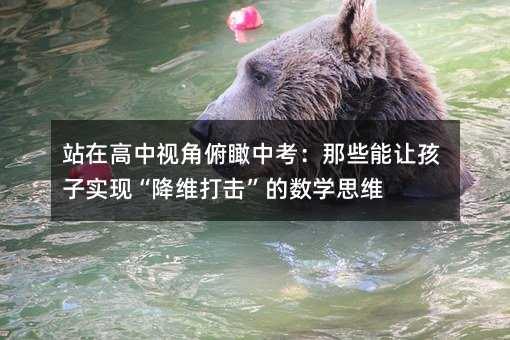 վ�ڸ���ҕ�Ǹ���п�����Щ��׌���ӌ��F�����S������Ĕ��W˼�S