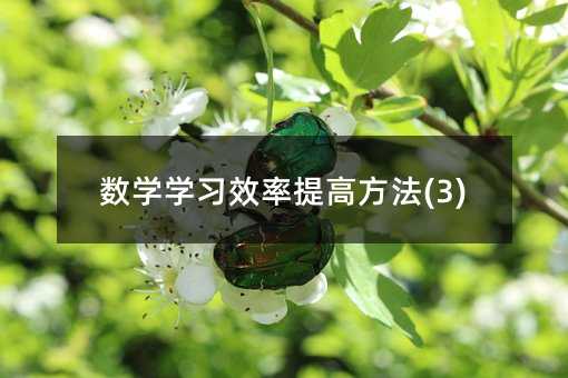 ���W�W��Ч����߷���(3)