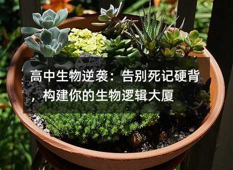 �����������u����e��ӛӲ���������������߉݋��B